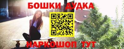 крисы Краснознаменск