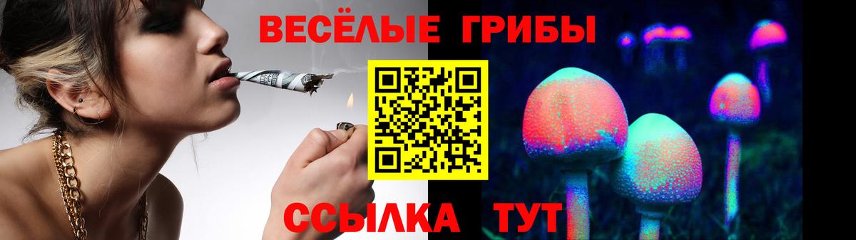 Галлюциногенные грибы MAGIC MUSHROOMS  Вход с VPN  Видное  Псилоцибиновые грибы прущие грибы 
