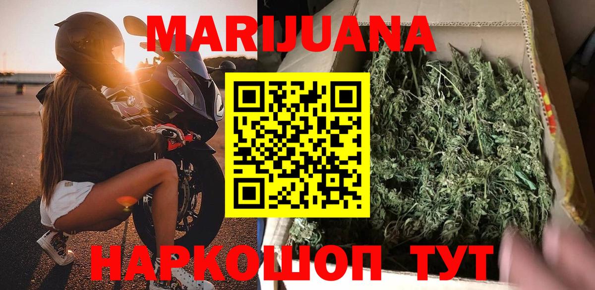 Шишки марихуана план  Вход с VPN  Каннабис индика  МАРИХУАНА Ganja  Каннабис SATIVA & INDICA  Видное 